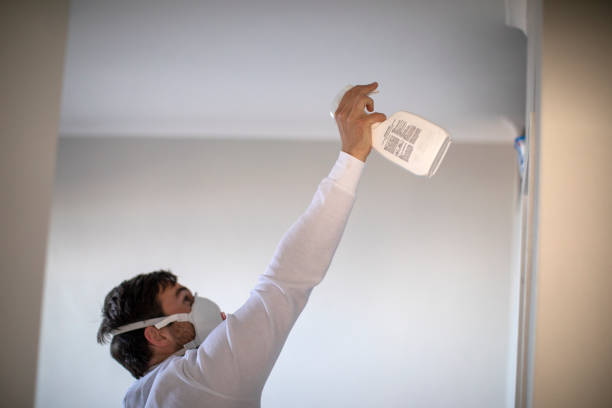 Best Commercial Mold Removal  in Nanuet, NY