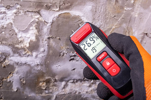 Best Best Mold Removal Companies  in Nanuet, NY