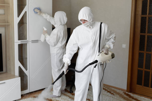 Best Mold Damage Repair  in Nanuet, NY