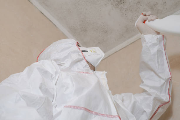 Best Certified Mold Removal  in Nanuet, NY