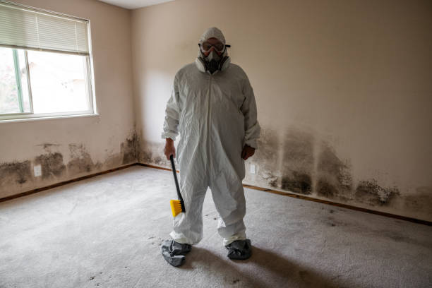 Best Black Mold Removal  in Nanuet, NY